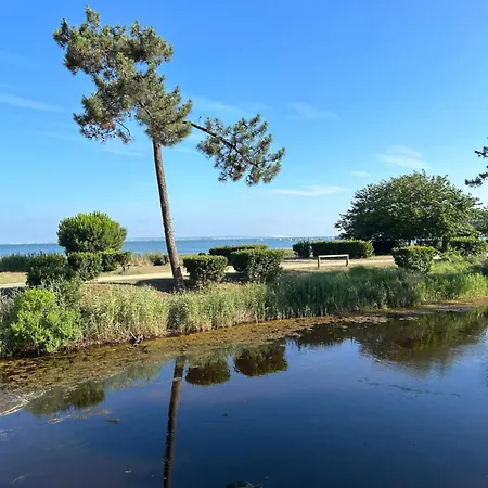 Les Viviers Chez So Claouey * Lège-Cap-Ferret