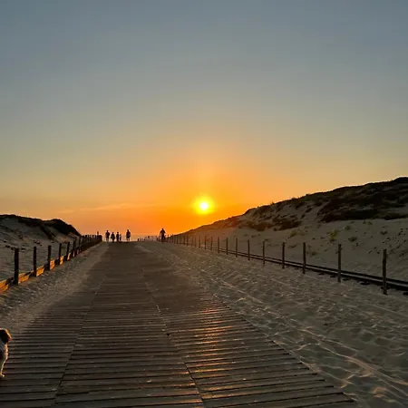 Les Viviers Chez So Claouey Campeggio Lège-Cap-Ferret